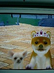 060605_01.jpg