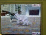 060617_a03.jpg
