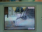 060617_a06.jpg