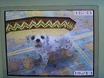 060617_a07.jpg