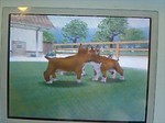 060617_a08.jpg