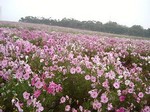 DSC00678.jpg