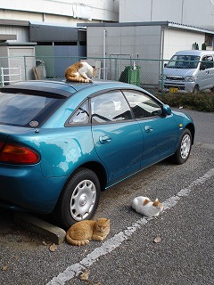 1と3と4.jpg