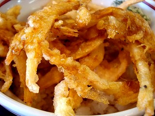 080831-135540.jpg