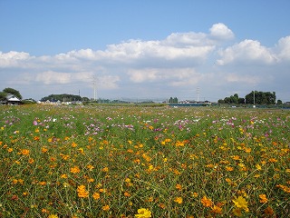 081003_03.jpg