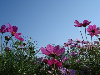 081003_04.jpg