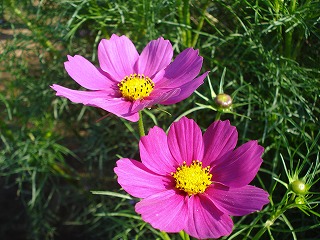 081003_05.jpg