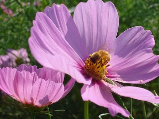 081003_07.jpg