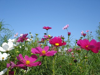 081003_08.jpg