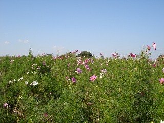 081003_09.jpg