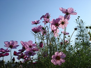081003_10.jpg