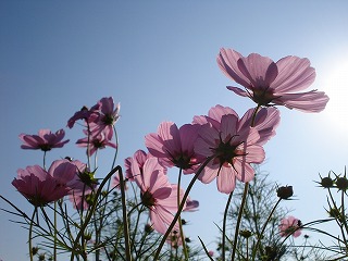 081003_11.jpg