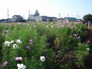 081003_12.jpg