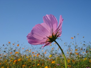 081003_16.jpg