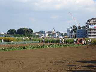 081003_19.jpg