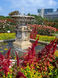 081020_1054~45.jpg