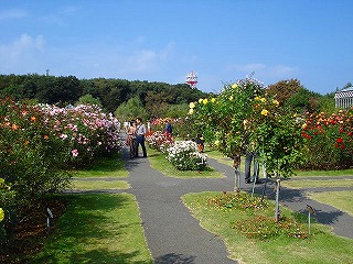 081020_1235~08.jpg