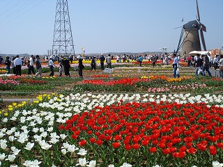 090411_1246~06.jpg