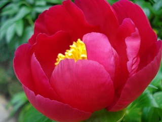 090509_1610~43.jpg