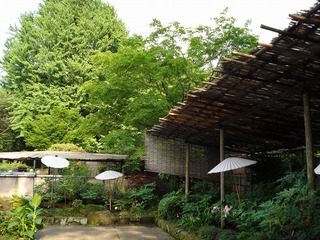 090509_1619~46.jpg