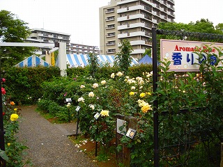 090605_1515~48.jpg
