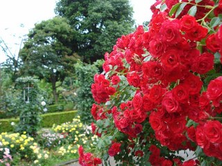 090605_1604~37.jpg