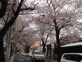 100411_1534~20.jpg