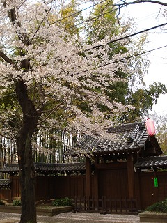 100411_1547~52.jpg
