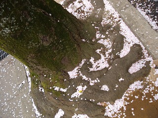 100411_1600~46.jpg