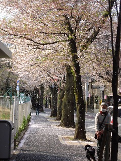 100411_1601~05.jpg