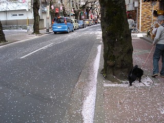 100411_1605~43.jpg