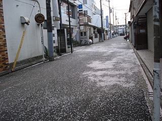 100411_1606~12.jpg