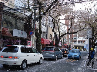 100411_1607~38.jpg
