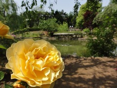 110521_0946~28.jpg
