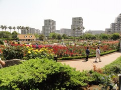 110521_1002~28.jpg