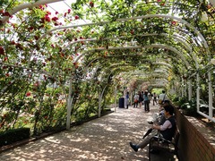 110521_1005~26.jpg