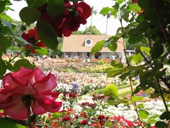 110521_1006~32.jpg