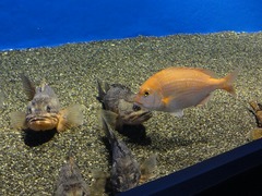 110820_1316~53.jpg