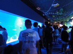 110820_1332~54.jpg