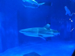 110820_1346~49.jpg
