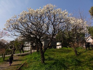 120320_1408~47.jpg