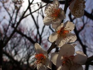 120320_1411~44.jpg