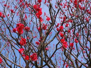120320_1418~20.jpg