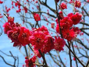 120320_1418~55.jpg