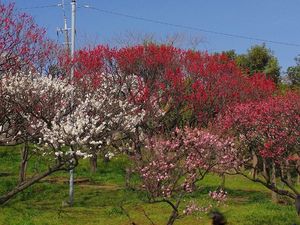 120320_1419~52.jpg