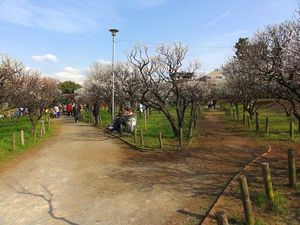 120320_1422~43.jpg