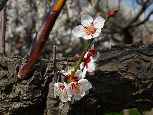 120320_1423~54.jpg