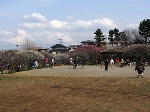 120320_1426~49.jpg