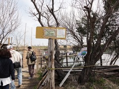 110306_1124~21.jpg